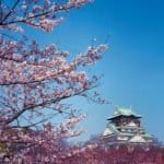 Osaka Castle2
