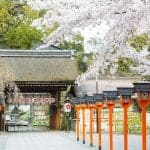 20200404_hirano_shrine_14_hjrahs