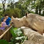 Singapore Zoo 3