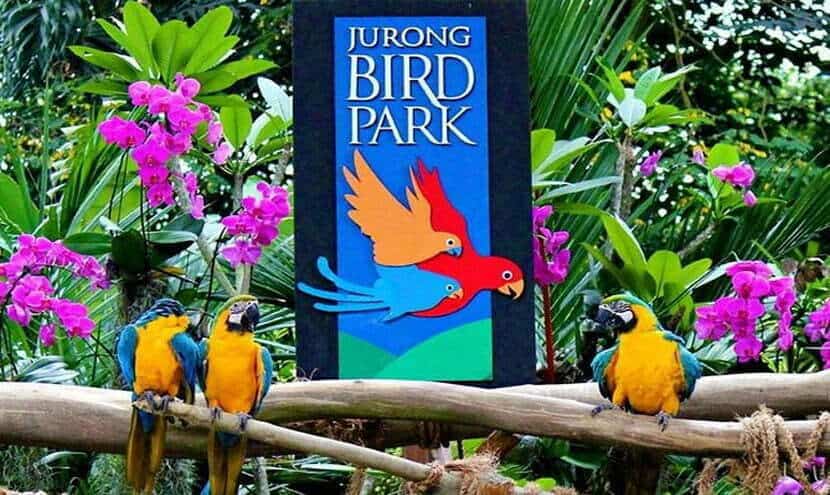 บัตรเข้าชมสวนนกจูล่ง