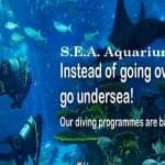 S.E.A Aquarium 5