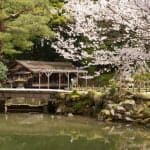 20200403_kenrokuen_15_le5ljo