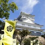 20201110_gifu_castle_12_yy5sdu