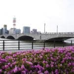 Shinano Riverside (5)