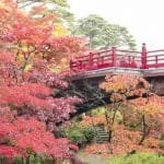 20201106_yahiko_park_09_ixman0