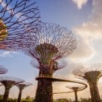 บัตร การ์เด้น บาย เดอะ เบย์ พร้อมบริการรถ