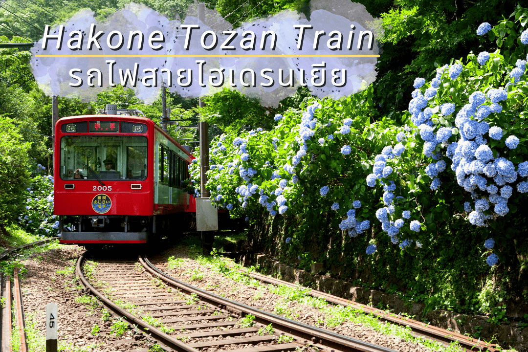 เที่ยวฮาโก่เน่รถไฟสายไฮเดรนเยีย