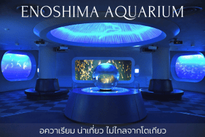 เอโนชิมะ อควาเรี่ยม