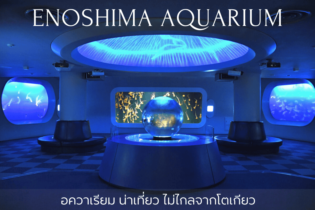 เอโนชิมะ อควาเรี่ยม